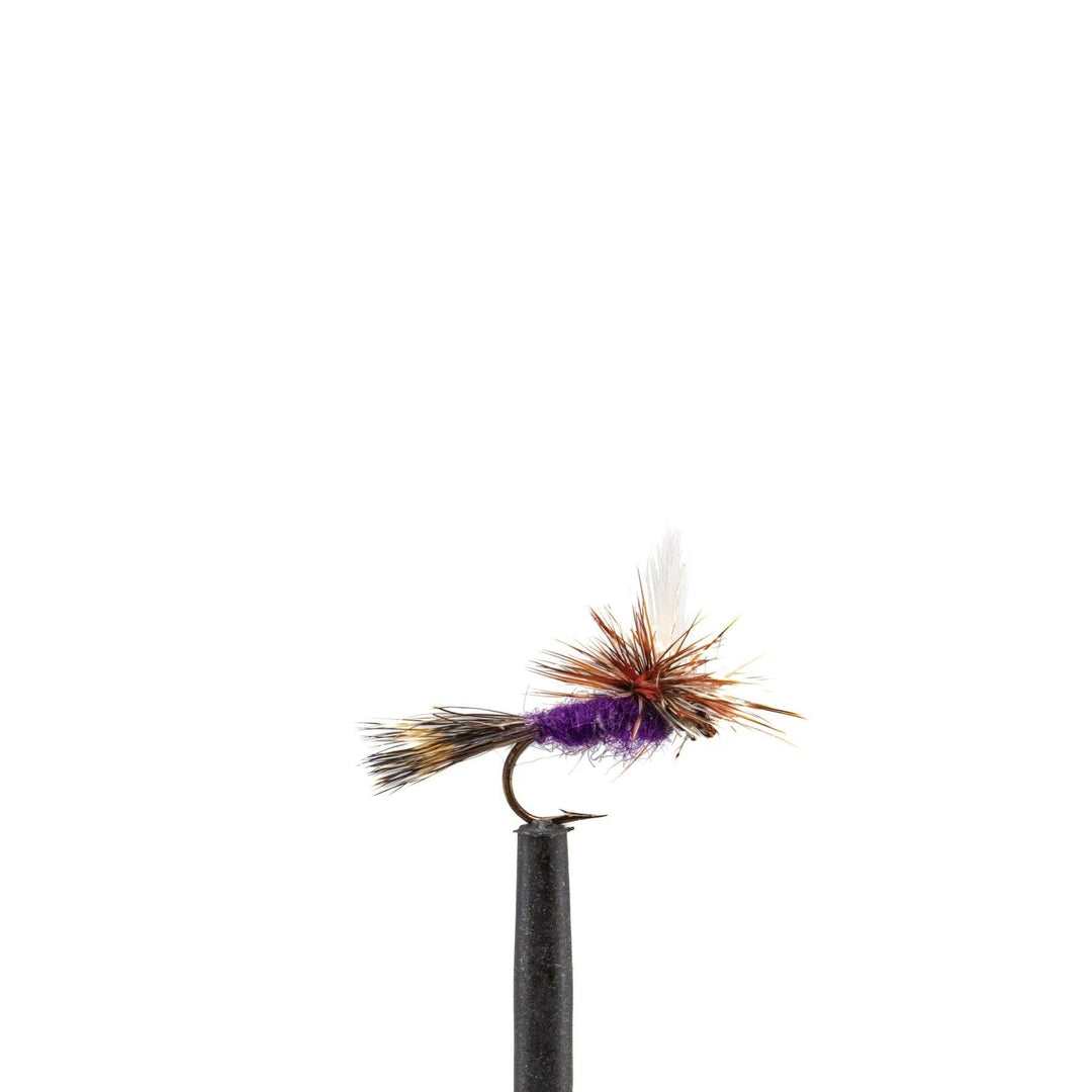 am fishing lures purple haze A.M. 5.5" Whether youre a beginner or a seasoned angler the Purple Haze is a proven pattern that can help you catch more fish during mayfly hatches and beyond. Parachute Purple Haze