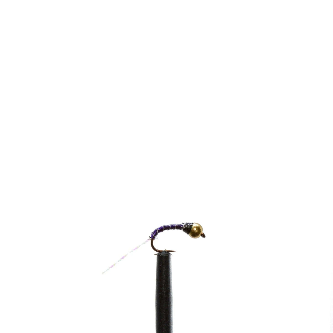 Purple Zebra Nymph - Chironomid, Flies, Midge, Nymphs | Jackson Hole Fly Company
