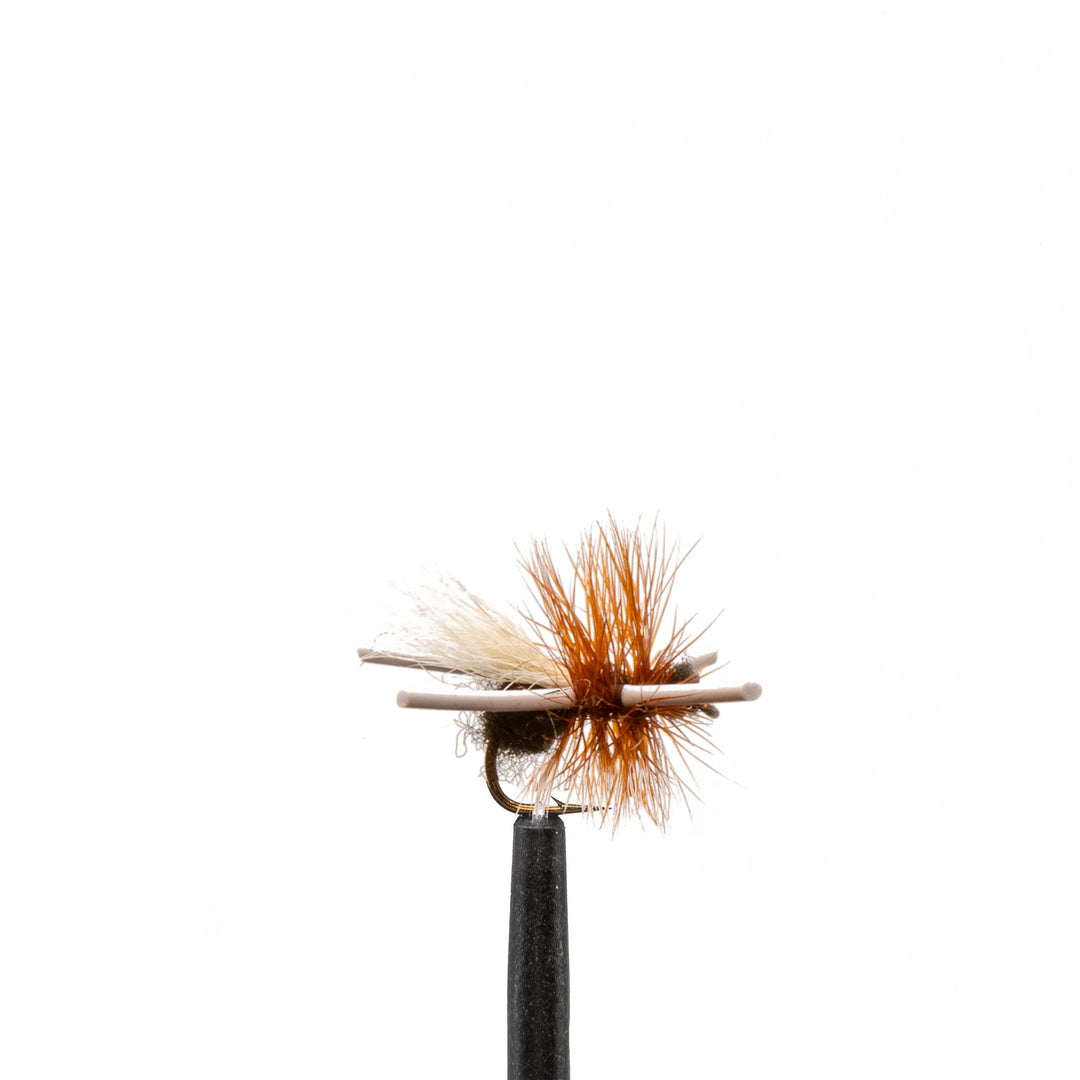 Super Ant Black - Dry Flies, Flies, Terrestrials | Jackson Hole Fly Company