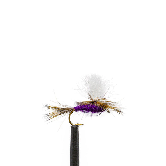 UV Para Purple Haze - Dry Flies, Flies | Jackson Hole Fly Company