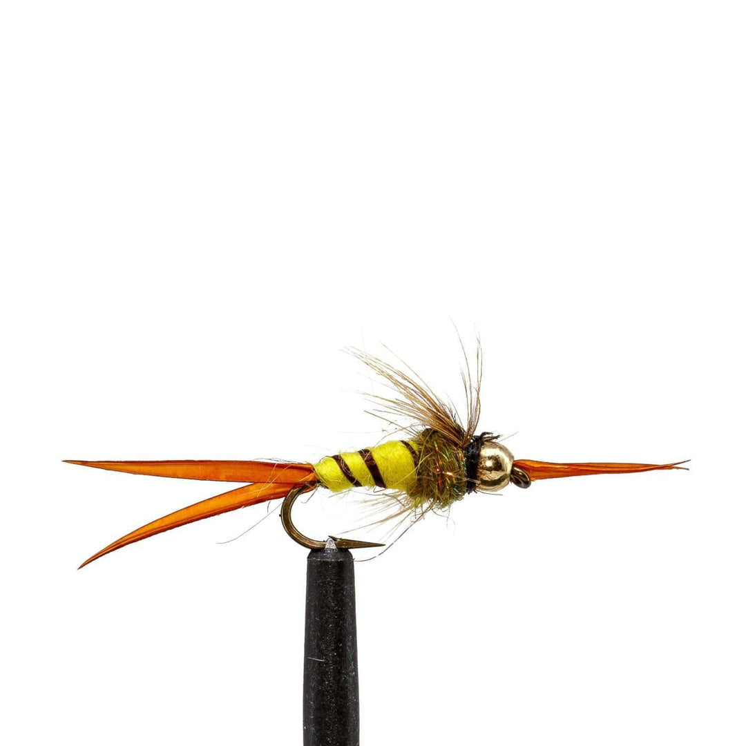 Beadhead Micro Golden Stone - flies, nymphs, Stone Fly | Jackson Hole Fly Company