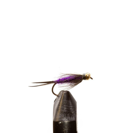 Beadhead Purple Prince Nymph - Flies, Nymphs | Jackson Hole Fly Company
