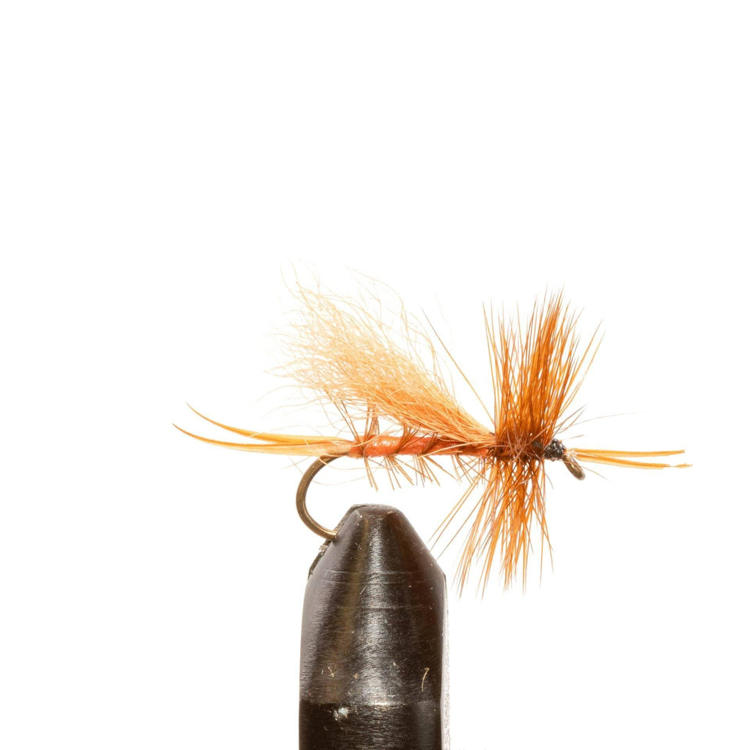 Bird's Stone Salmon Fly - Dry Flies, Flies | Jackson Hole Fly Company