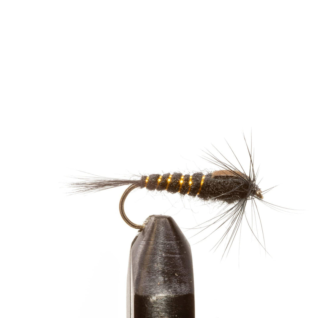 Black G.R. Hare's Ear - Flies, Nymphs | Jackson Hole Fly Company