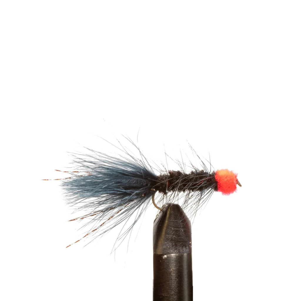 Black Egg-Sucking Leech Flame – Steelhead Fly | JHFLYCO – Jackson