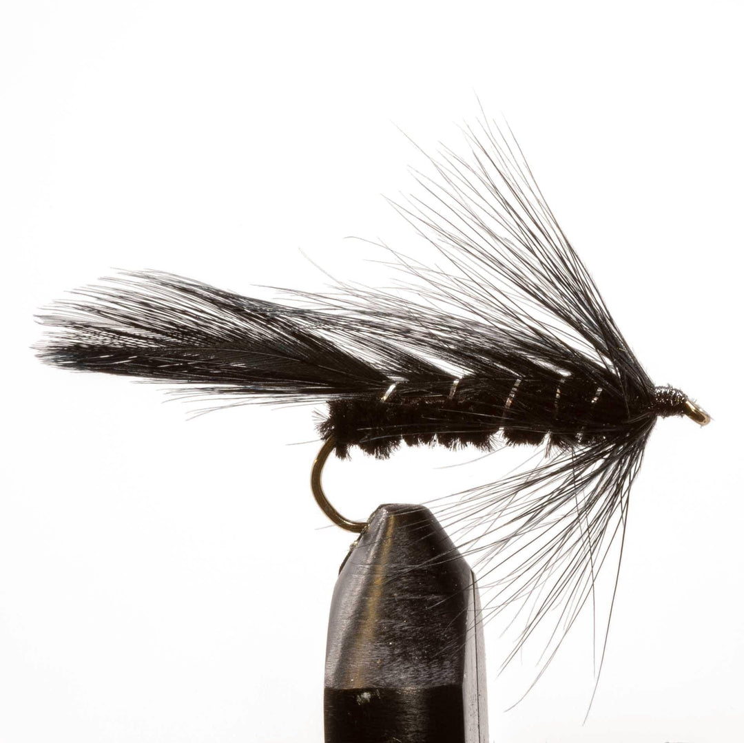 Black Matuka - Flies, Intruders, Streamers | Jackson Hole Fly Company