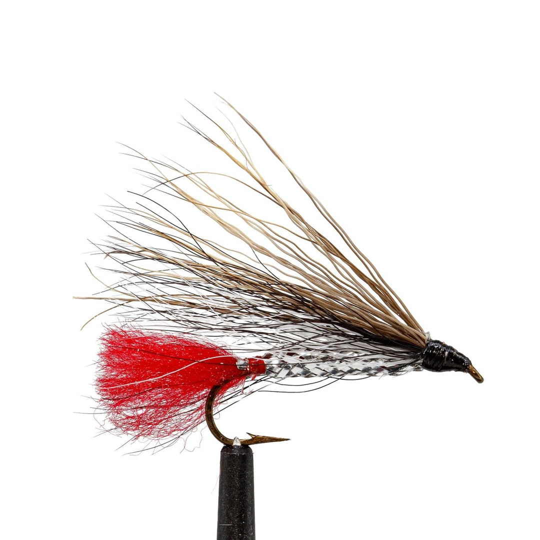 Black Nose Dace - Flies, Streamers | Jackson Hole Fly Company