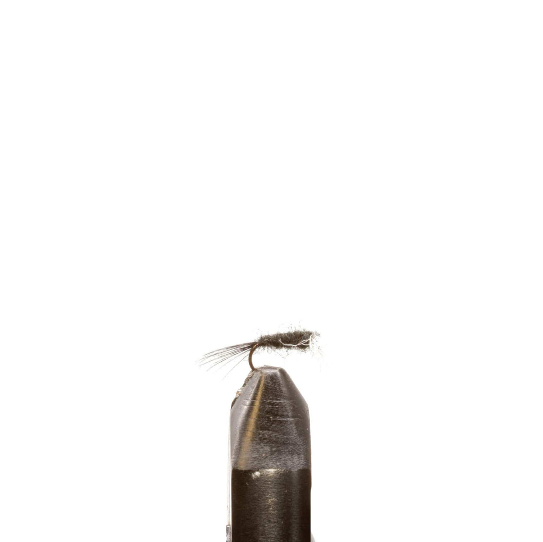Black Spinner - Emerger, Flies | Jackson Hole Fly Company
