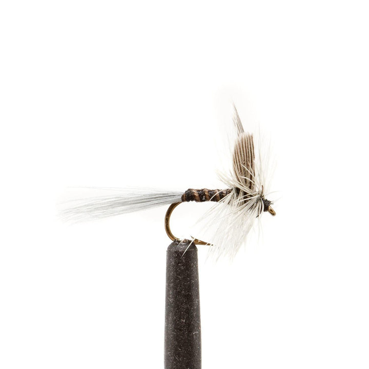 Blue Quill – Classic Early Spring Mayfly Dry Fly | JHFLYCO – Jackson ...