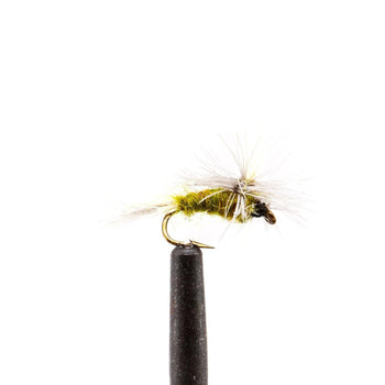 BWO Parachute