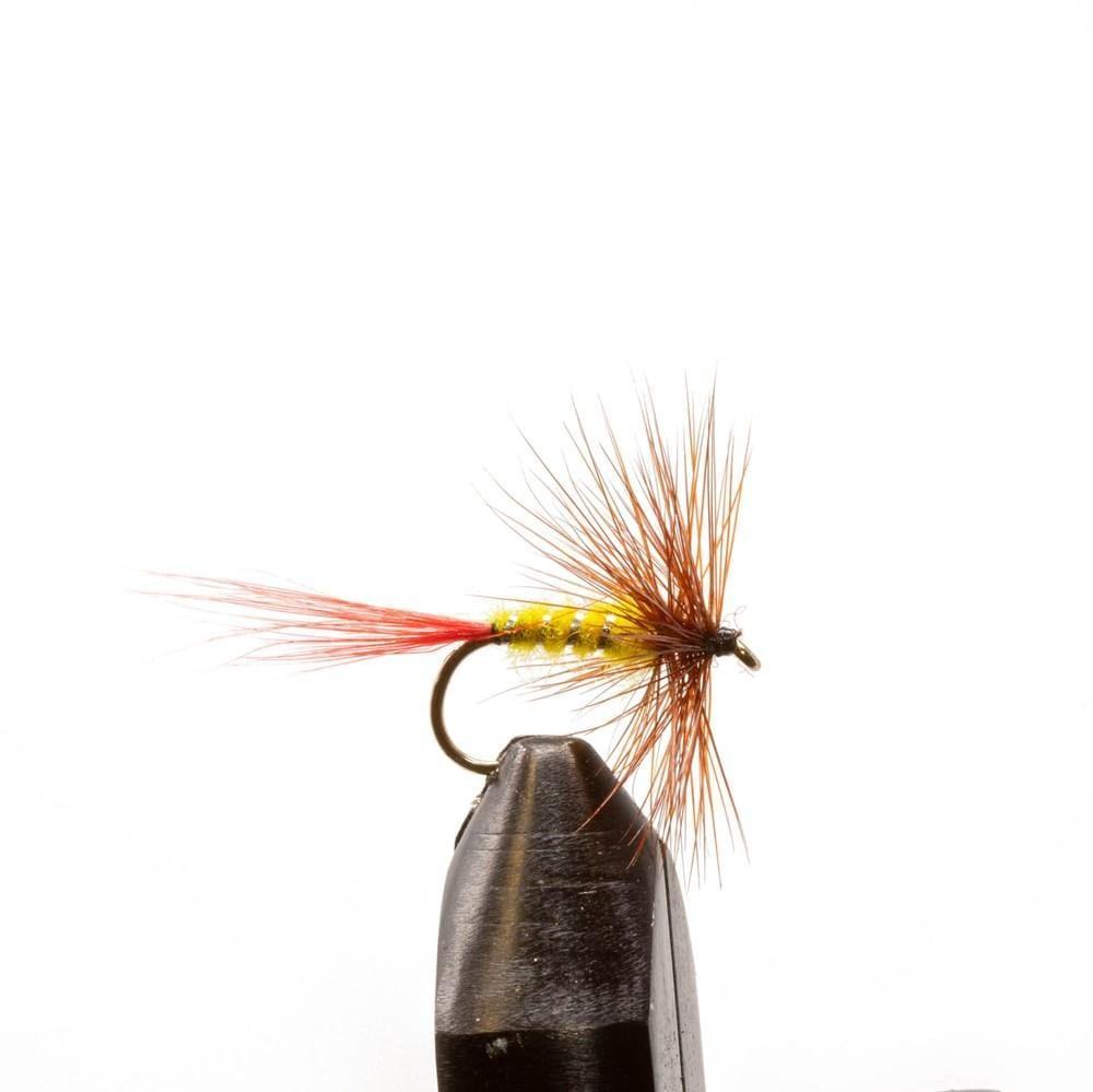 Brown Hackle Yellow - Dry Flies, Flies | Jackson Hole Fly Company