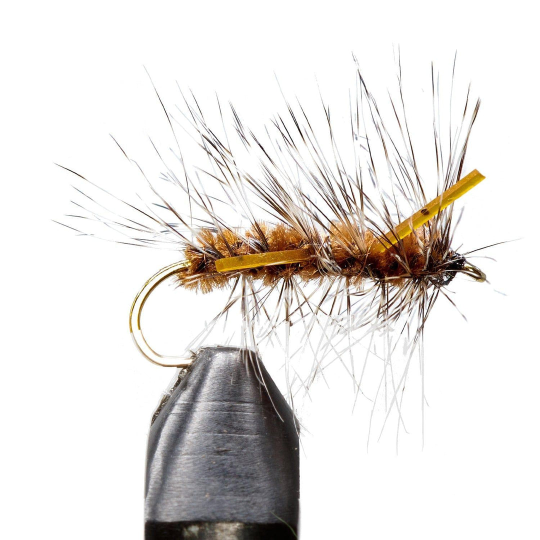 Coffee Yuk Bug - Flies, Nymphs | Jackson Hole Fly Company