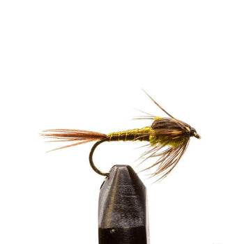 Damsel Nymph fly pattern for stillwater trout | Jackson Hole Fly Company