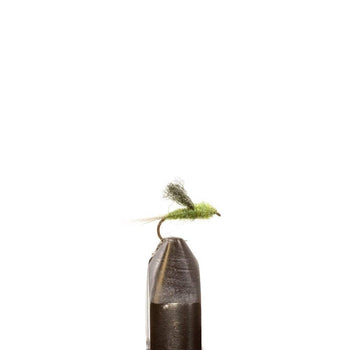 Dark Olive Emerger | Jackson Hole Fly Company