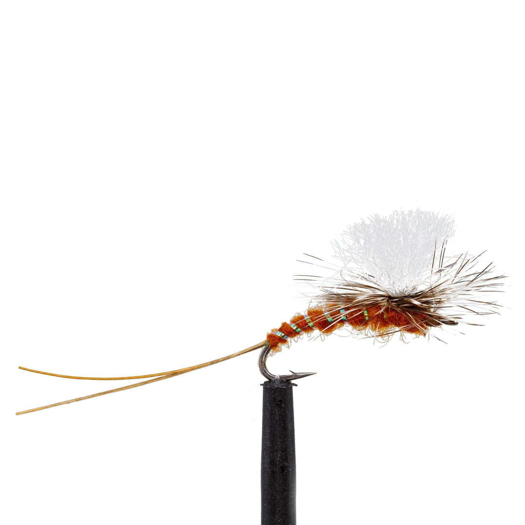 Extended Body Brown Para Drake - | Jackson Hole Fly Company