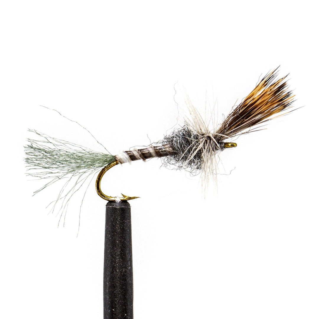 Gray Cripple Drake - | Jackson Hole Fly Company