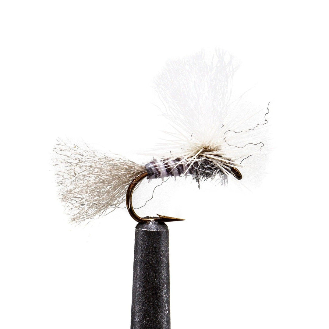 Gray Para Drake - Dry Flies, flies | Jackson Hole Fly Company