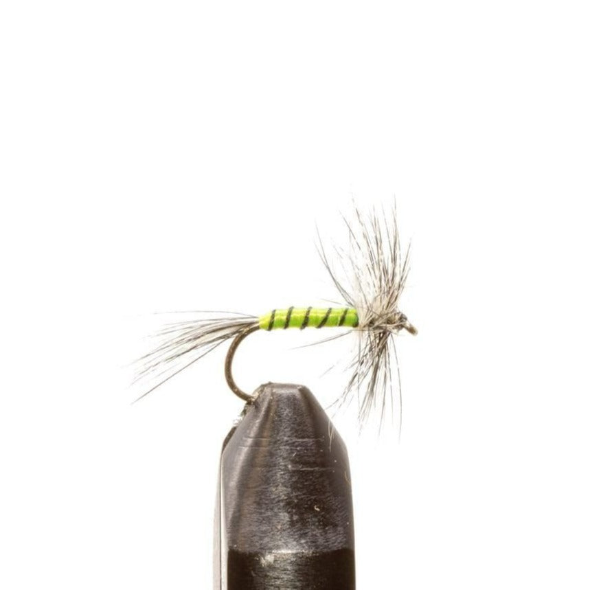 Green Body Mosquito - Dry Flies, Flies | Jackson Hole Fly Company