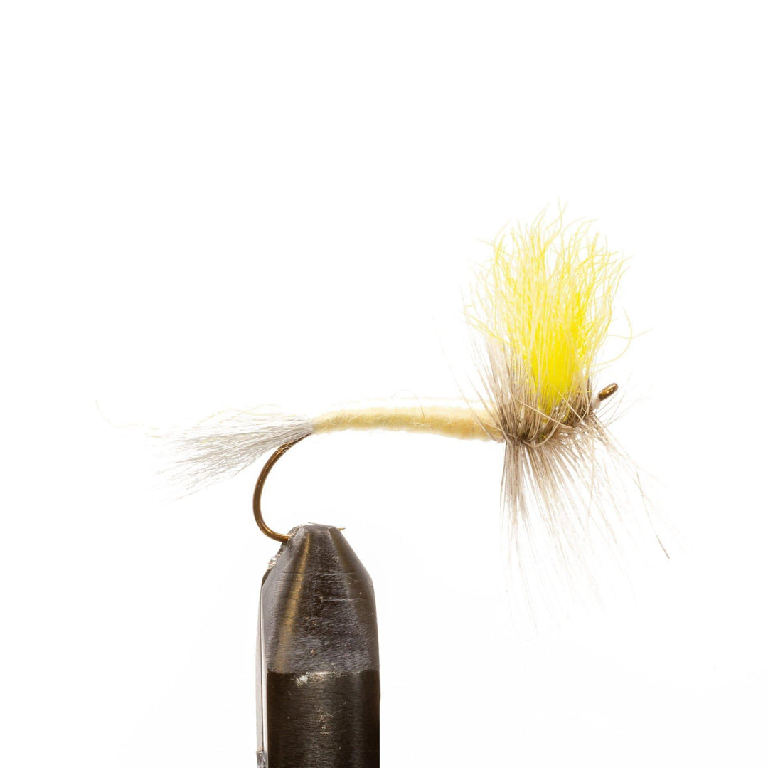 Green Drake East - Dry Flies, Flies | Jackson Hole Fly Company