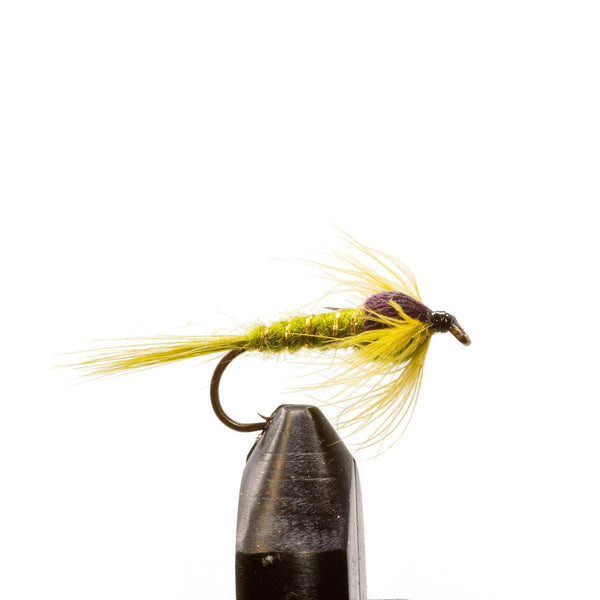 green-drake-emerger-or-jackson