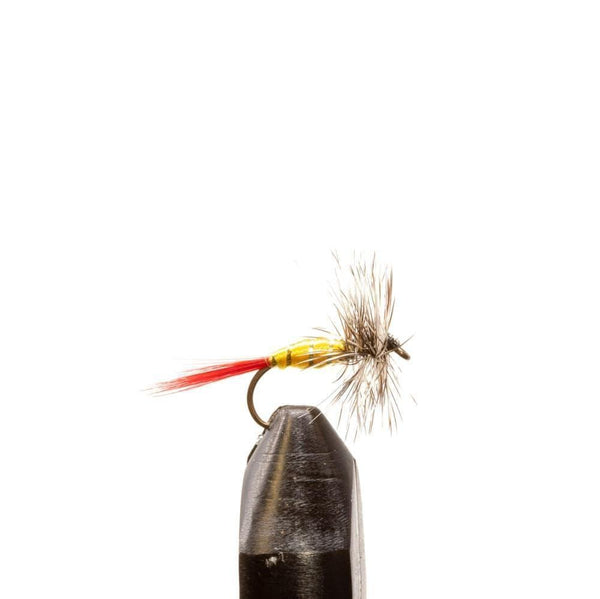 ルアー・フライ Hoffman Dry Fly Hackle Grade 3 Grizzly grizzly-hackle-yellow-or-