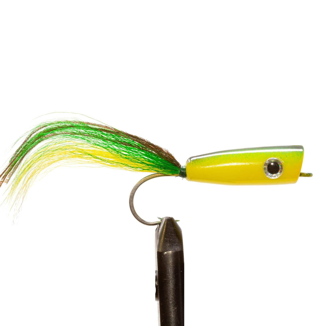 Dolphin Saltwater Popper - Flies, Poppers | Jackson Hole Fly Company