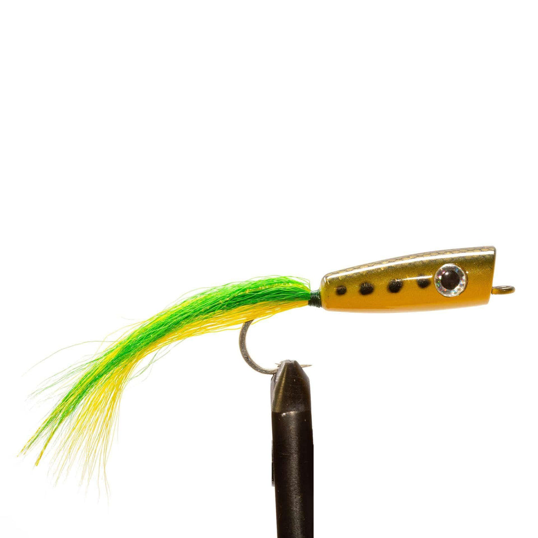 Salty Frog Saltwater Popper - Flies, Poppers | Jackson Hole Fly Company