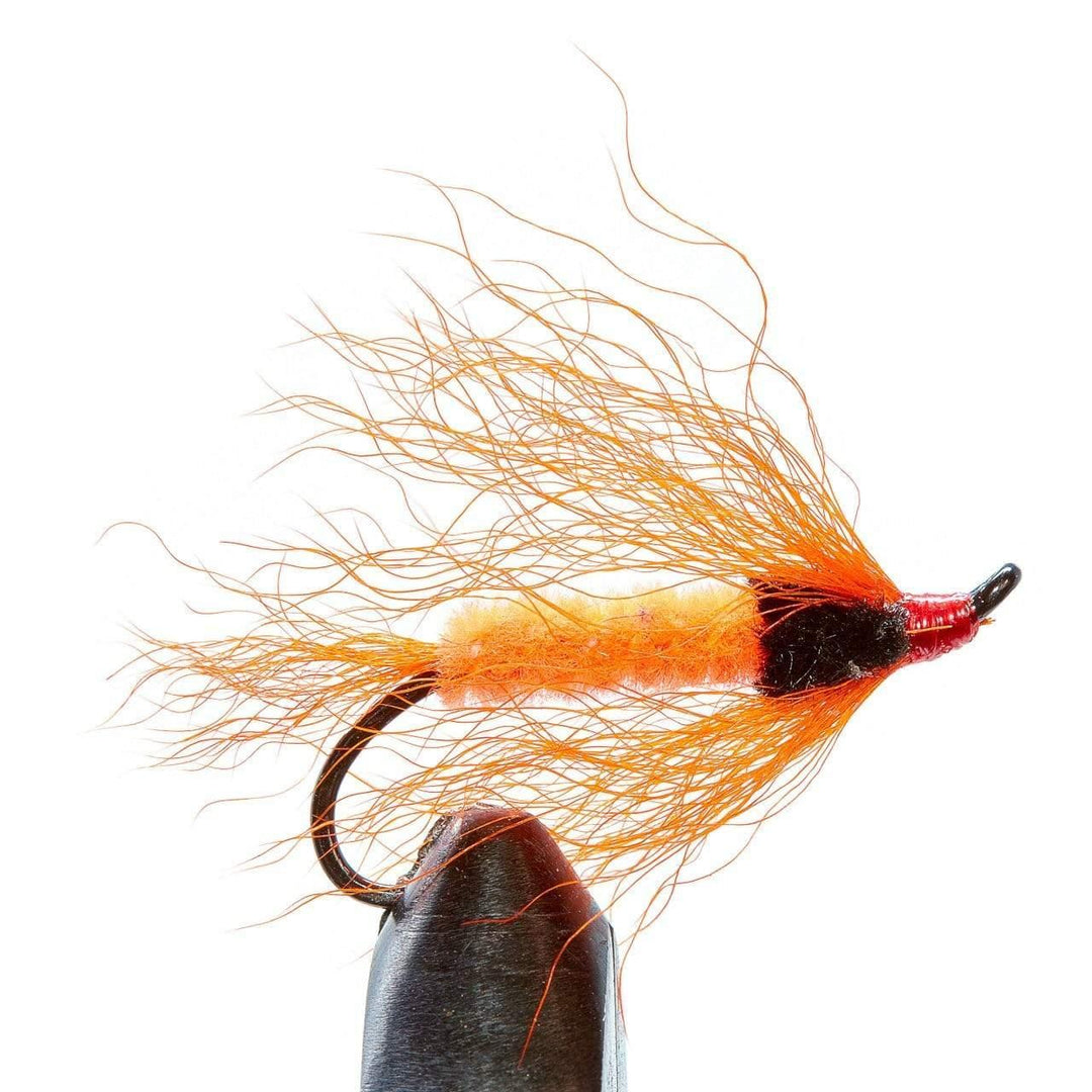 Calf Tail Special Salmon Forrester Fly - Flies, Salmon Flies | Jackson Hole Fly Company