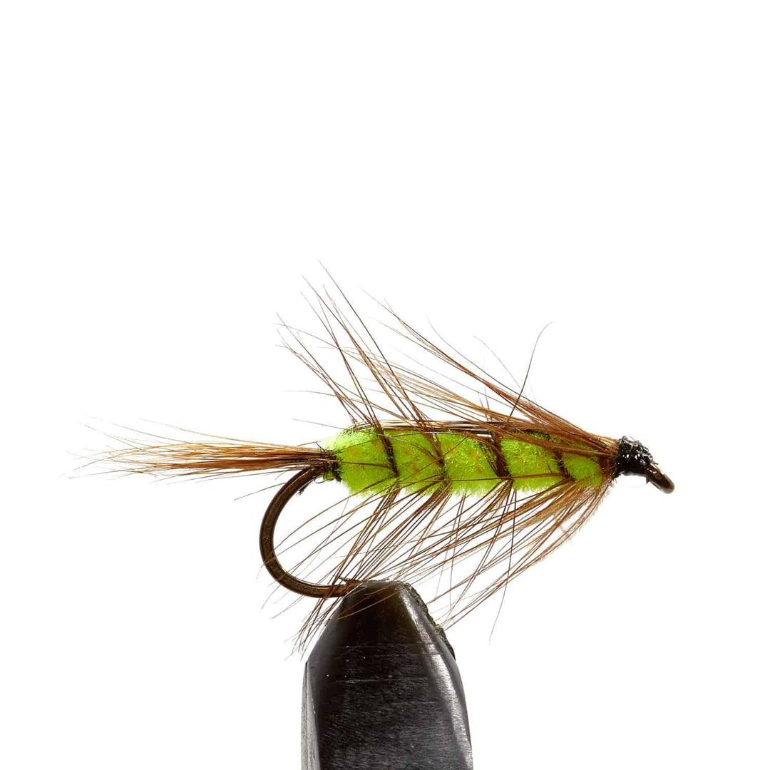 Spring Wiggler Chartreuse/ Brown - Flies, Nymphs | Jackson Hole Fly Company