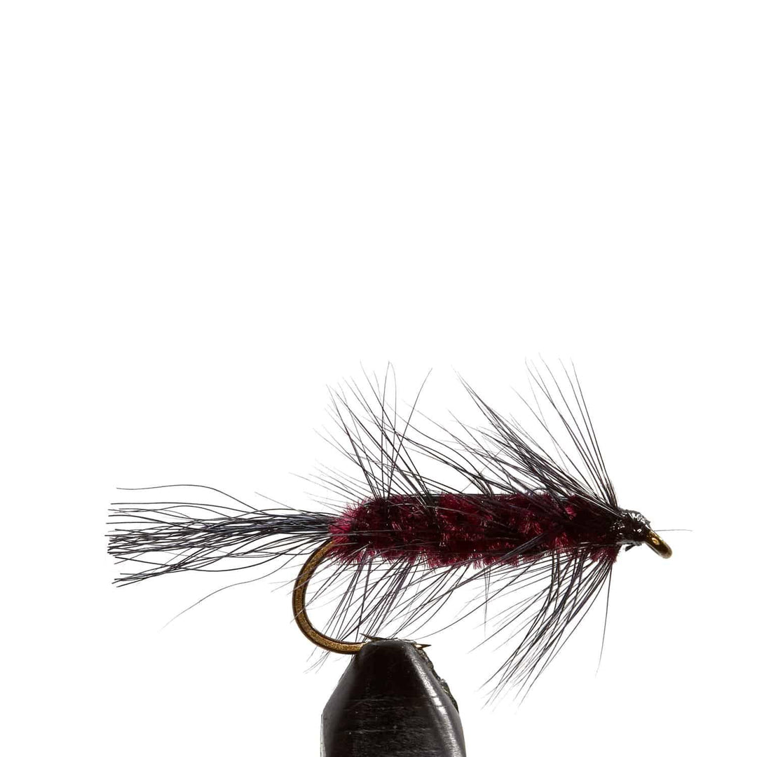 Spring Wiggler Wine - Flies, Nymphs | Jackson Hole Fly Company