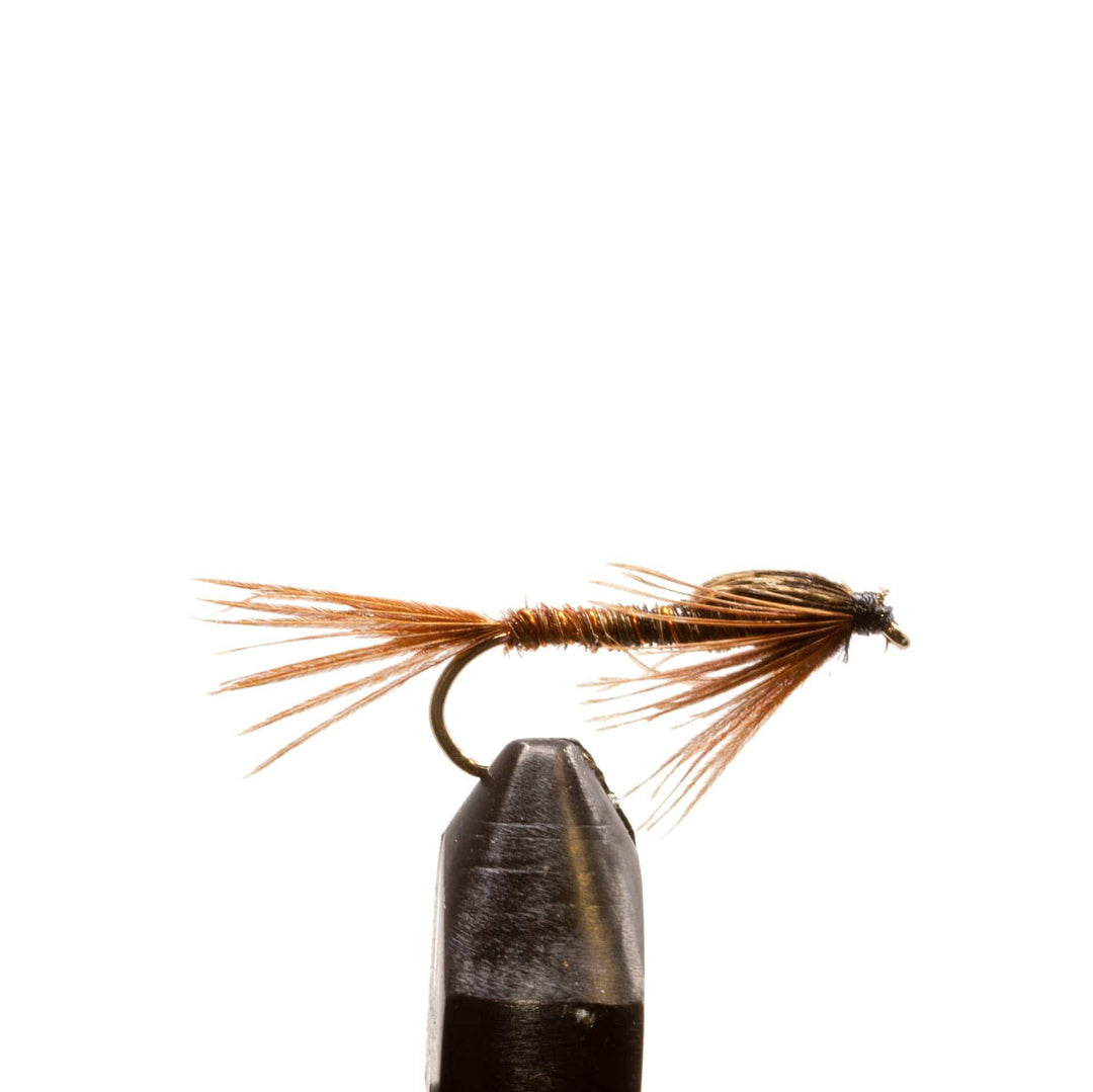 A.P. Pheasant - Flies, Nymphs | Jackson Hole Fly Company