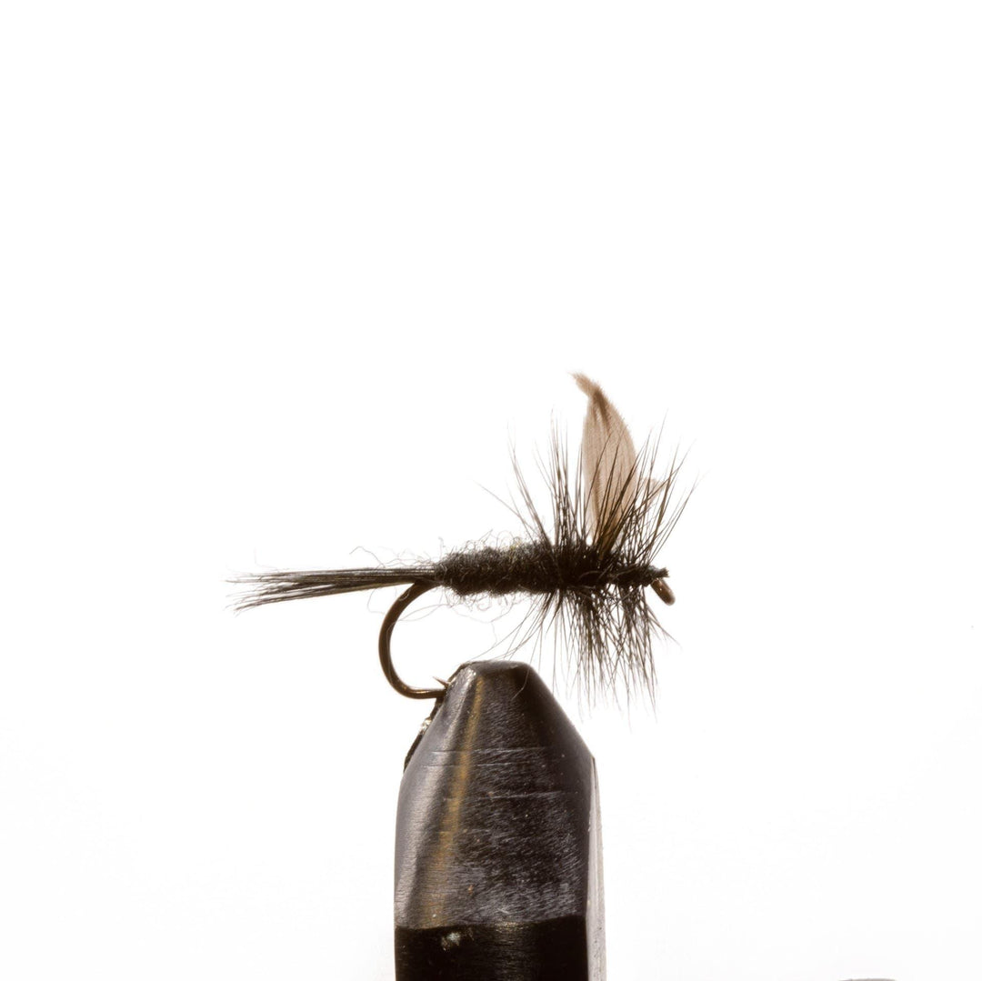 Black Gnat-Black Tail - Dry Flies, Flies | Jackson Hole Fly Company