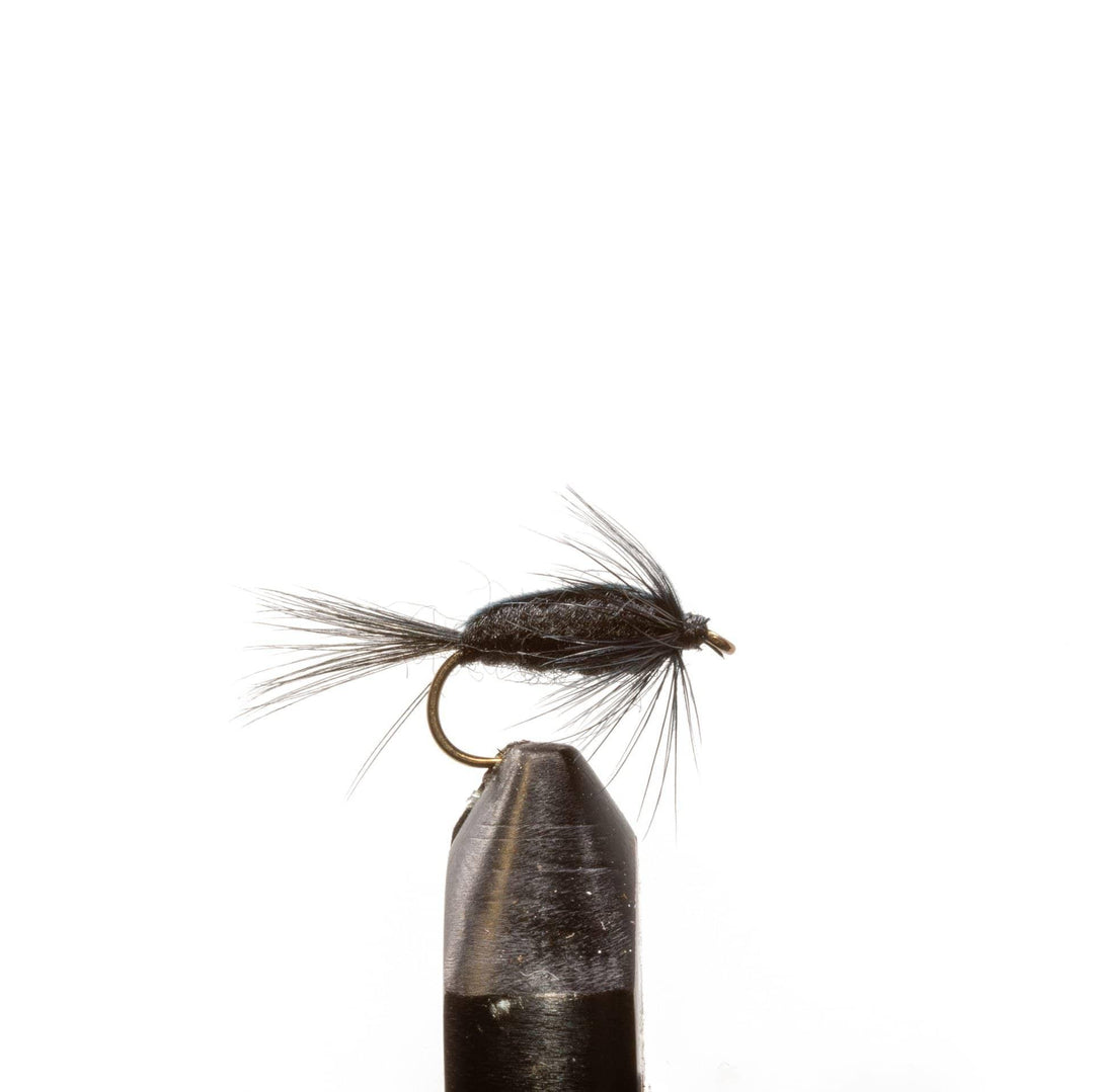Black Nymph - Flies, Nymphs | Jackson Hole Fly Company