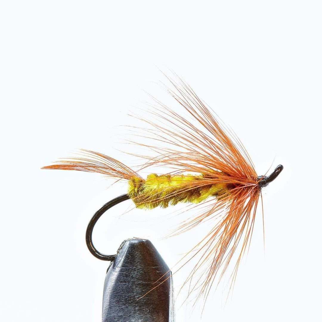 Brindle Bug Salmon Regular - Flies, Nymphs | Jackson Hole Fly Company