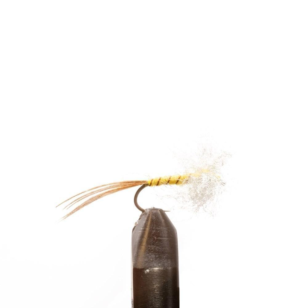 Brown Rib Yellow Spinner - Emerger, Flies | Jackson Hole Fly Company