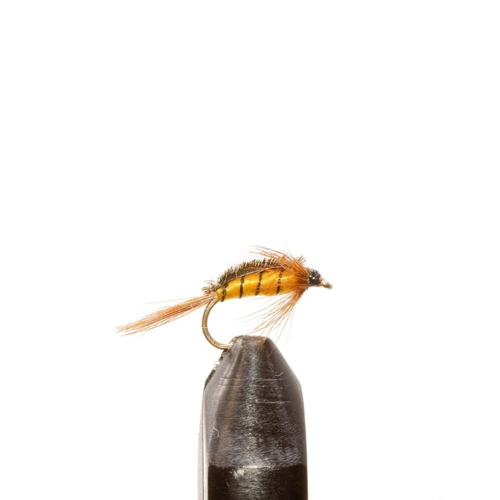 Caddis - Flies, nymphs | Jackson Hole Fly Company