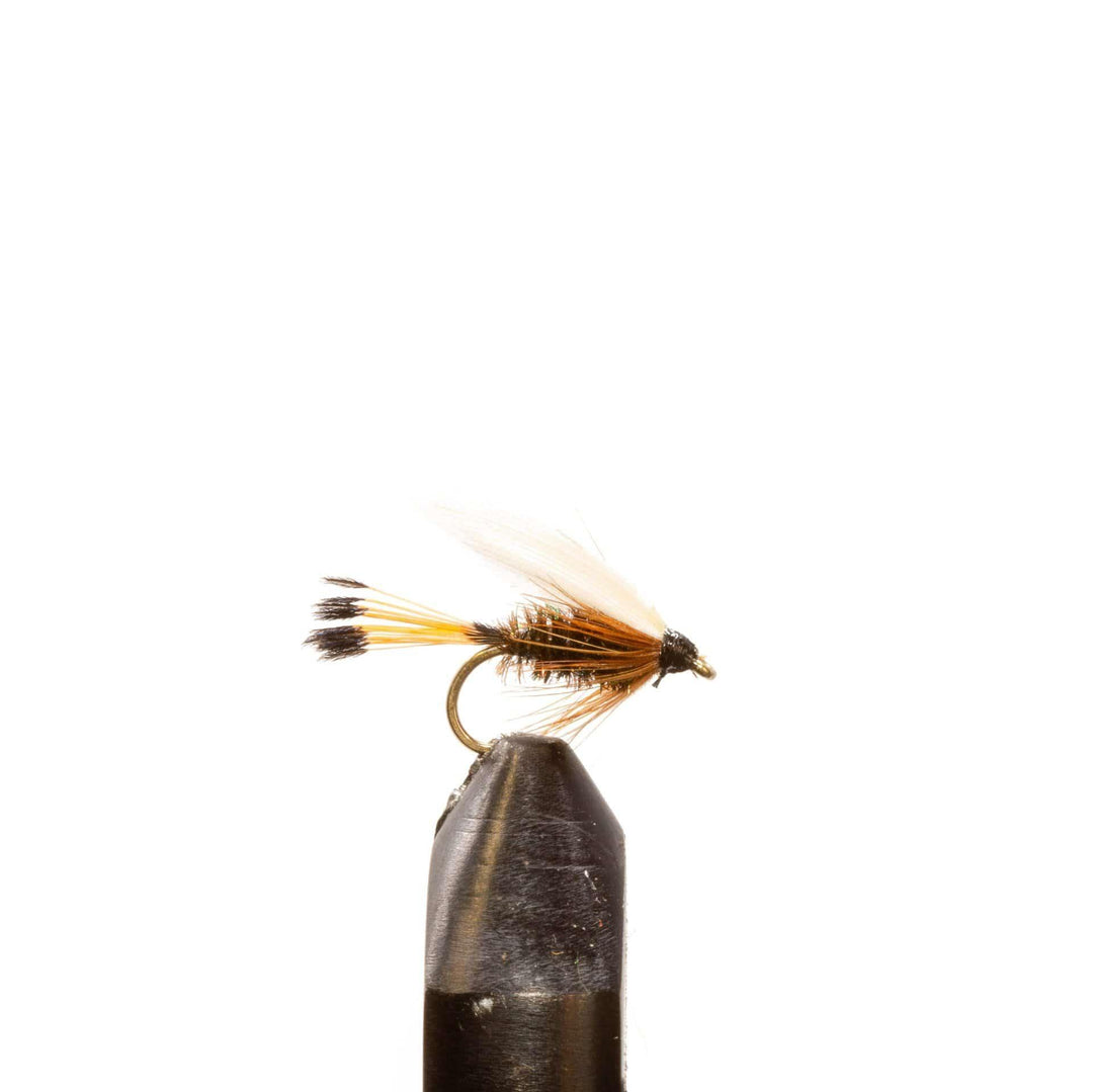 Coachman-Wet - Emerger, Flies | Jackson Hole Fly Company