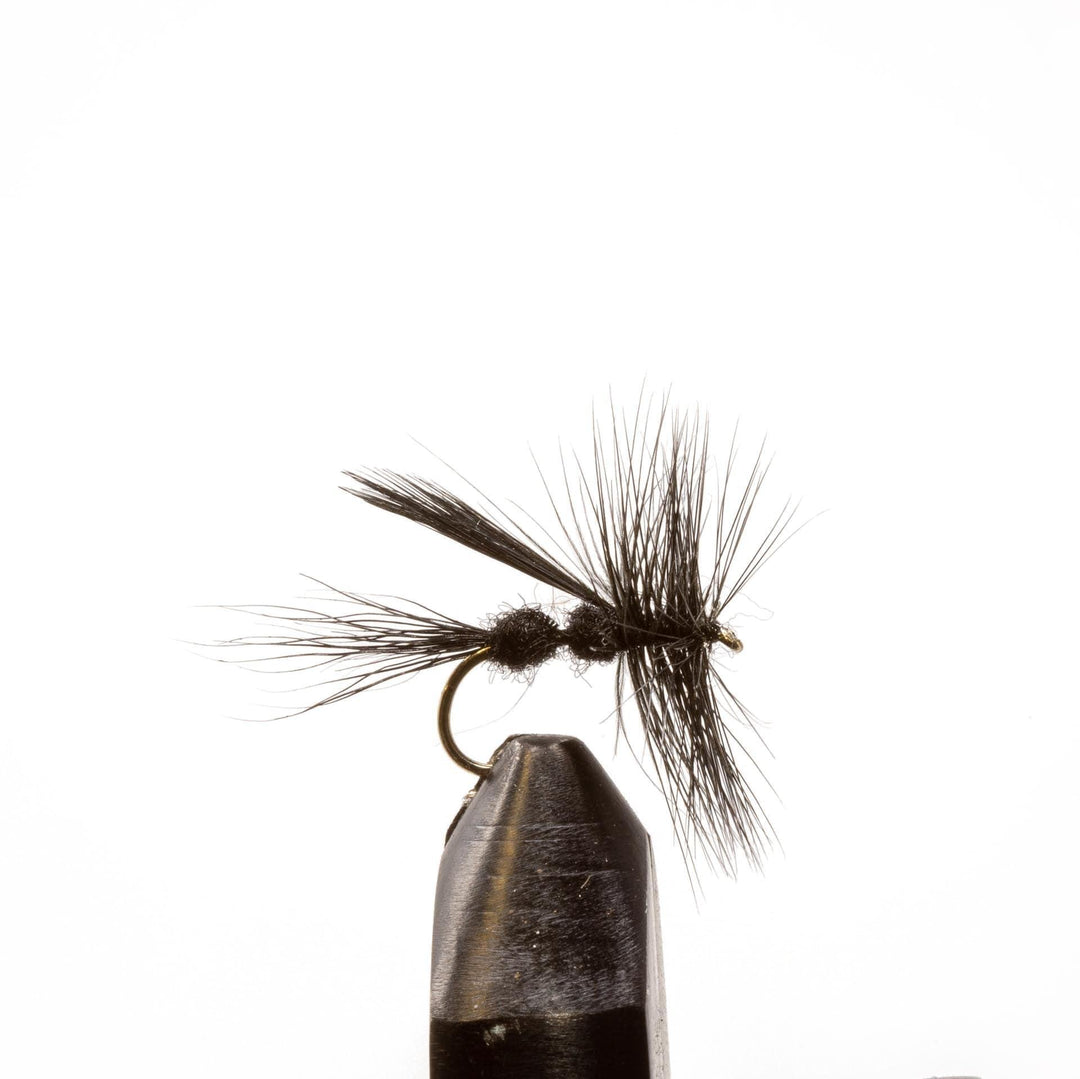 Ed's Black Ant - Dry Flies, Flies, Terrestrials | Jackson Hole Fly Company