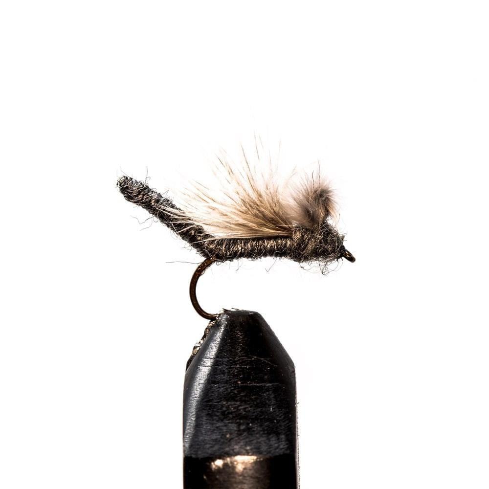 Extended Body Gray Emerger - Emerger, Flies | Jackson Hole Fly Company