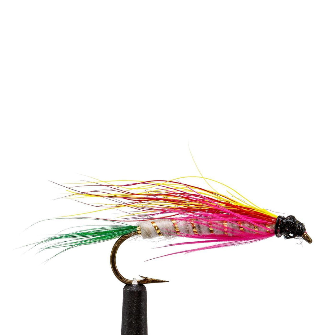 Little Rainbow Trout - Flies, Intruders, Streamers | Jackson Hole Fly Company