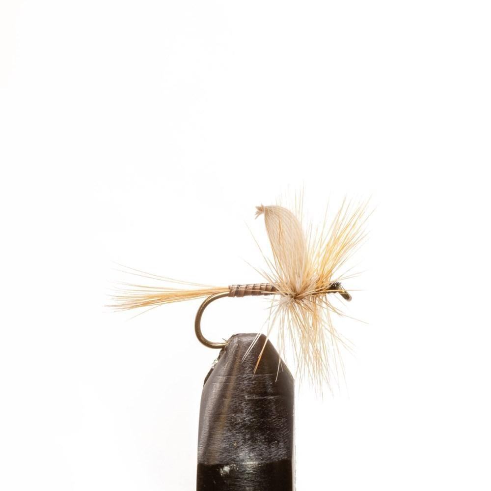 Ginger Quill - Dry Flies, Flies | Jackson Hole Fly Company