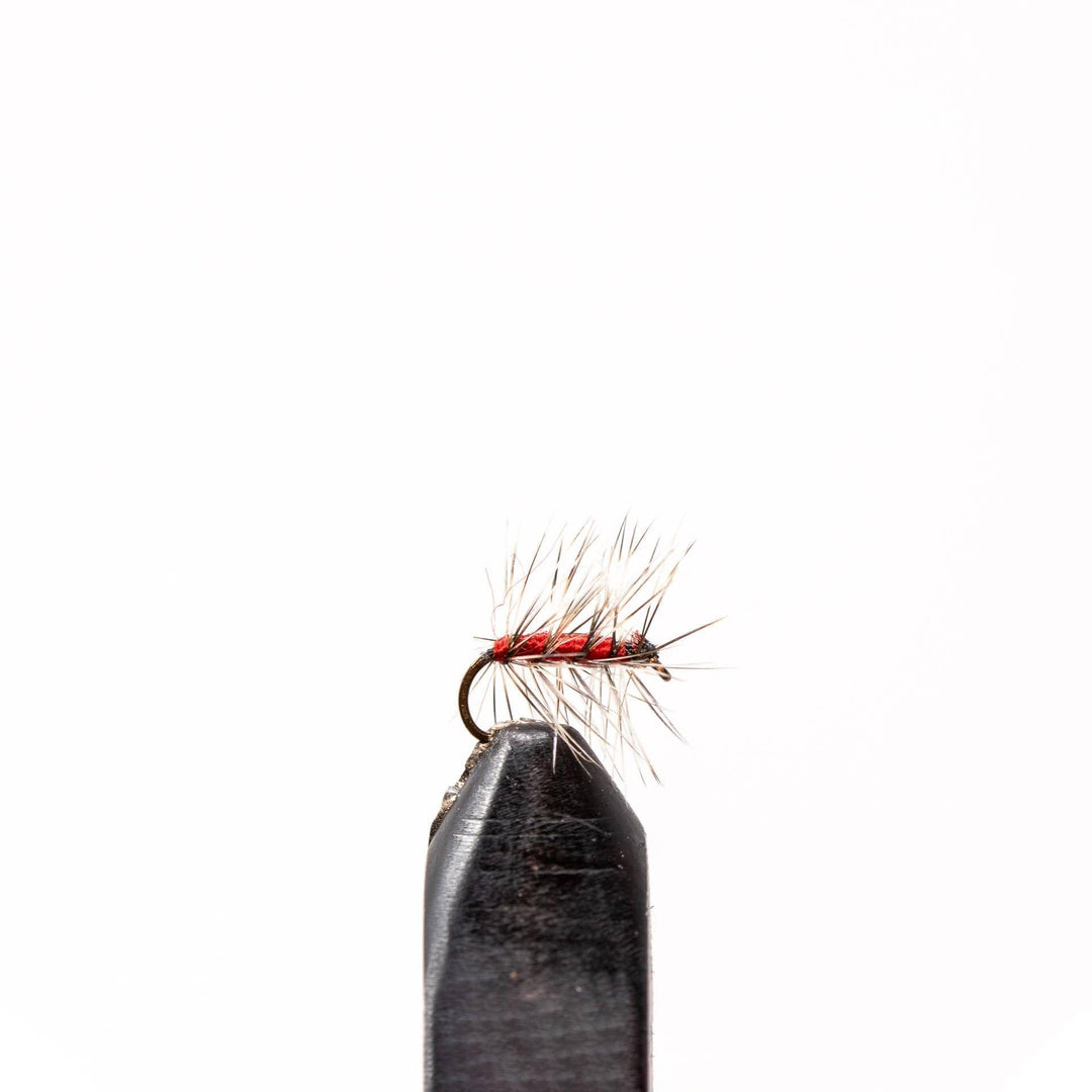 Grizzly Hackle Bloody Butcher - Dry Flies, Flies | Jackson Hole Fly Company