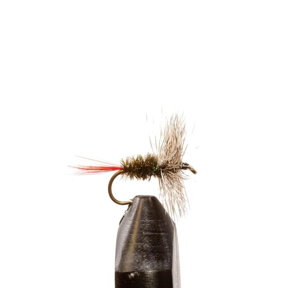 Grizzly Hackle Peacock - Dry Flies, Flies | Jackson Hole Fly Company