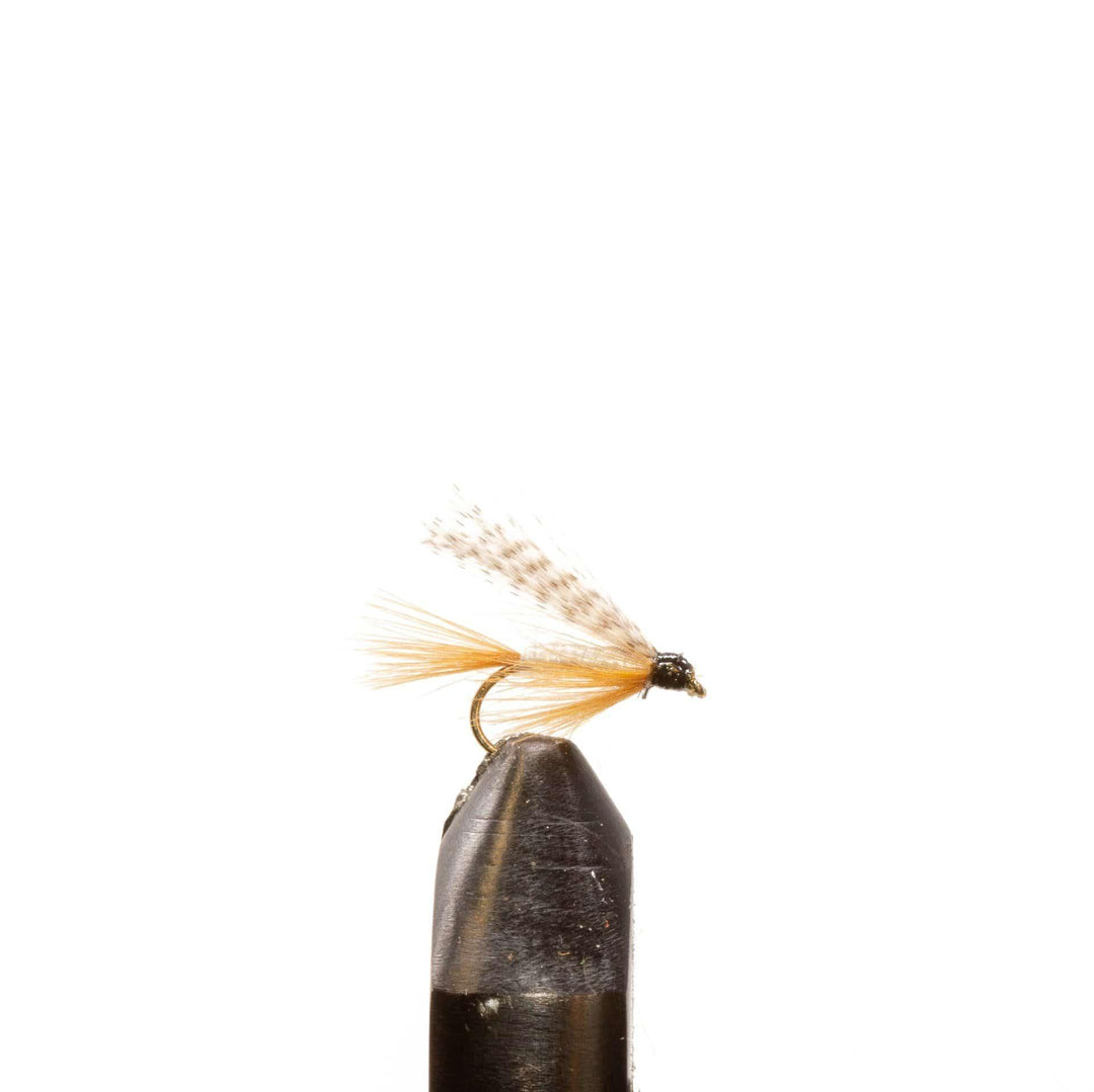 Light Cahill-Wet - Emerger, Flies | Jackson Hole Fly Company