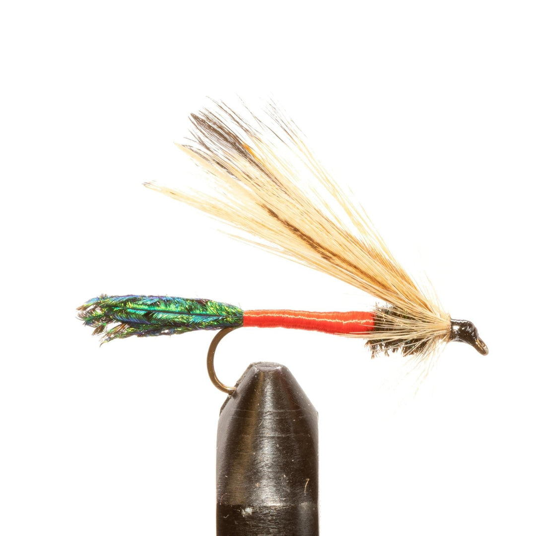 Light Sprucefly Excellent for all species everywhere one of the oldest go-to patterns. Great for all sea-runs. - Flies, Streamers | Jackson Hole Fly Company