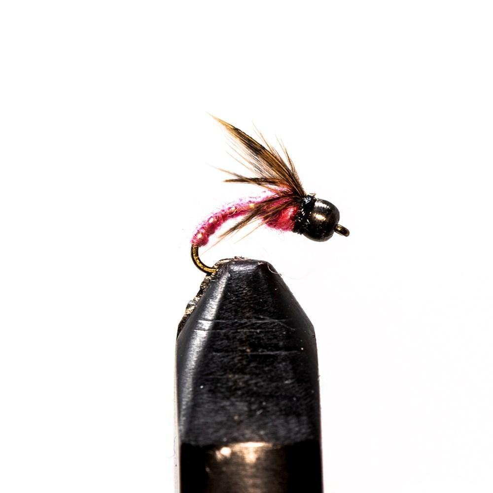 Lightning Bug Pink - Dry Flies, Flies | Jackson Hole Fly Company
