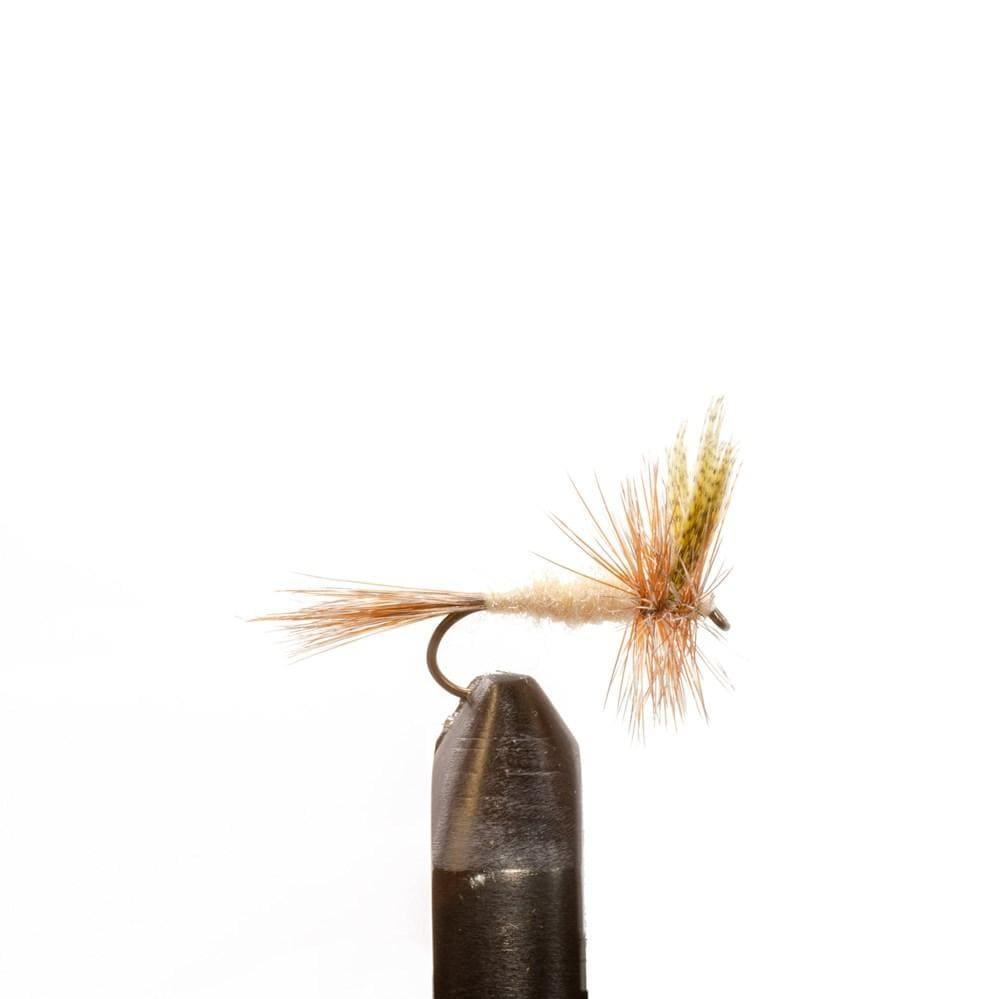 March Brown Traditional - Dry Flies, Flies | Jackson Hole Fly Company