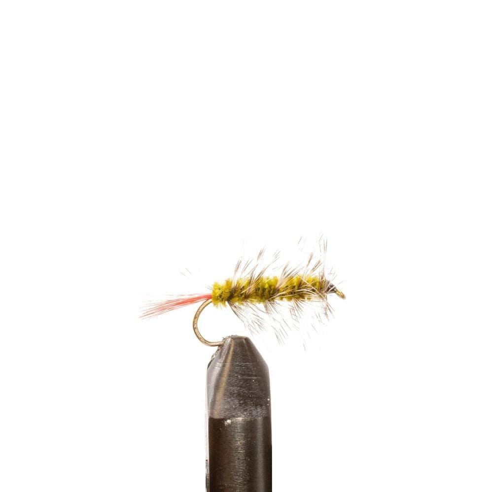 Olive Wooly Worm - Flies, Worms | Jackson Hole Fly Company