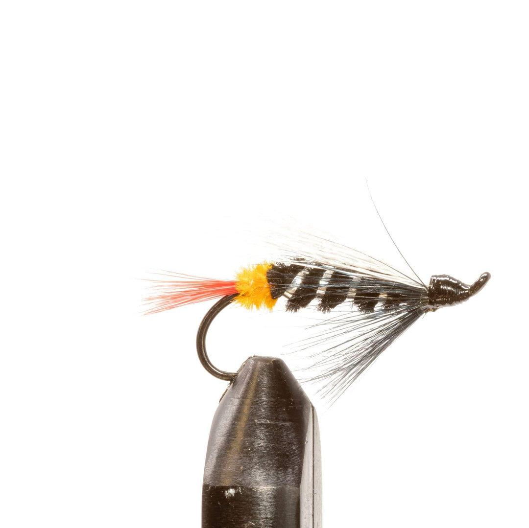 Orange Butt Skunk - Flies, Intruders, Streamers | Jackson Hole Fly Company