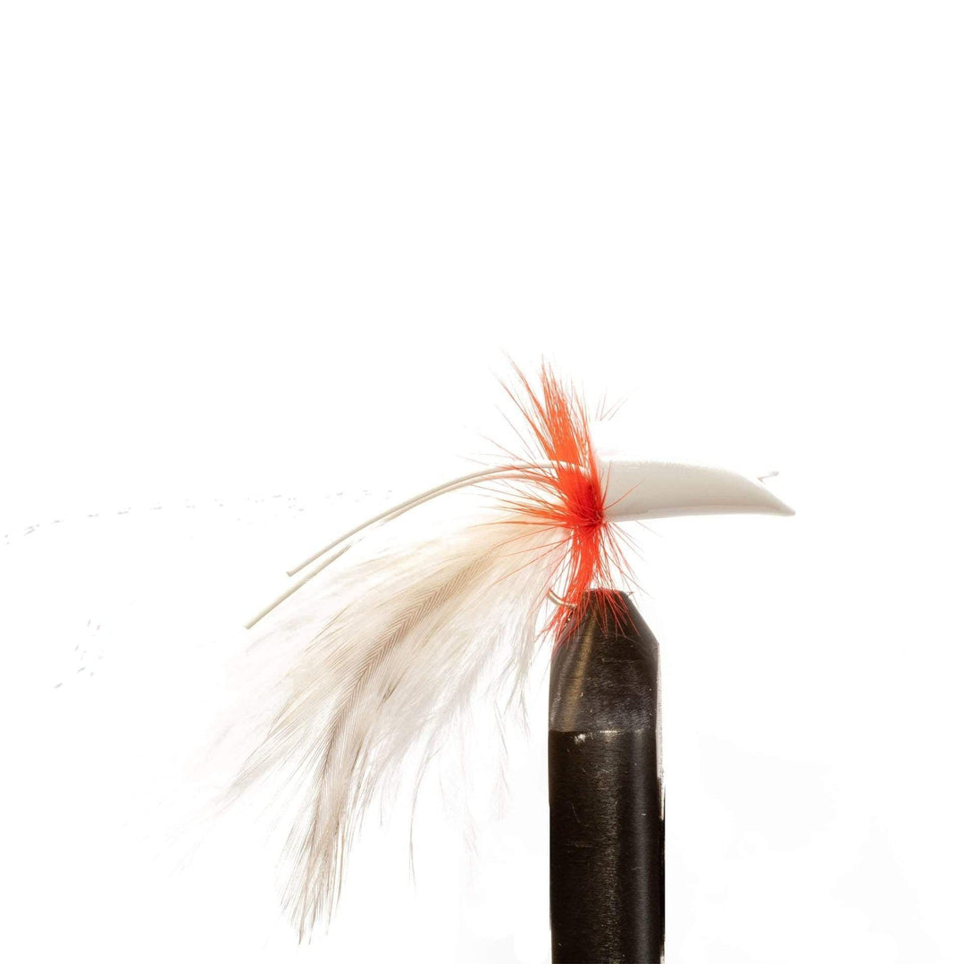 Pearl Fin Diver - Flies, Poppers | Jackson Hole Fly Company